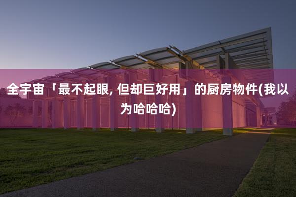 全宇宙「最不起眼, 但却巨好用」的厨房物件(我以为哈哈哈)