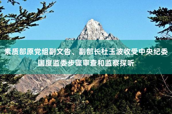 素质部原党组副文告、副部长杜玉波收受中央纪委国度监委步骤审查和监察探听