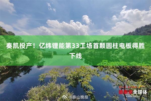 奏凯投产！亿纬锂能第33工场首颗圆柱电板得胜下线