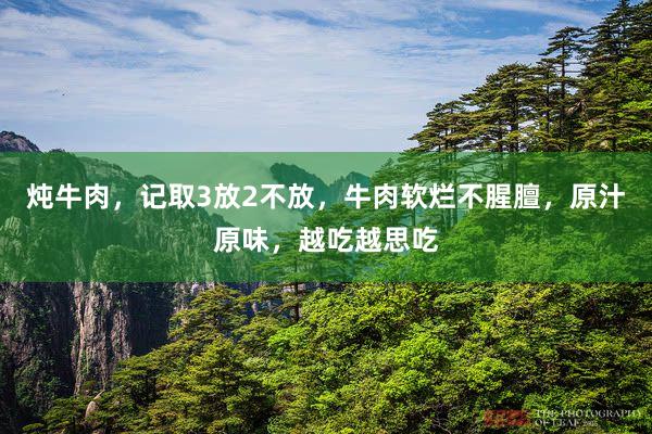 炖牛肉，记取3放2不放，牛肉软烂不腥膻，原汁原味，越吃越思吃