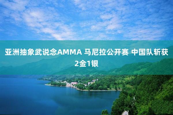 亚洲抽象武说念AMMA 马尼拉公开赛 中国队斩获2金1银