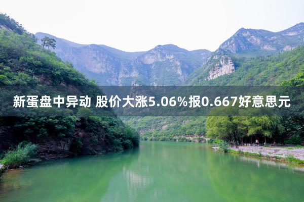 新蛋盘中异动 股价大涨5.06%报0.667好意思元