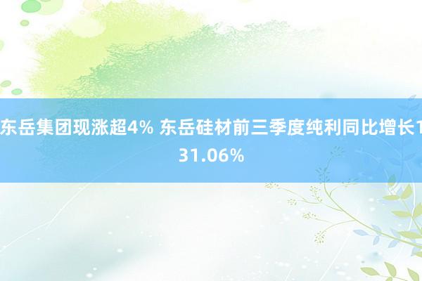 东岳集团现涨超4% 东岳硅材前三季度纯利同比增长131.06%