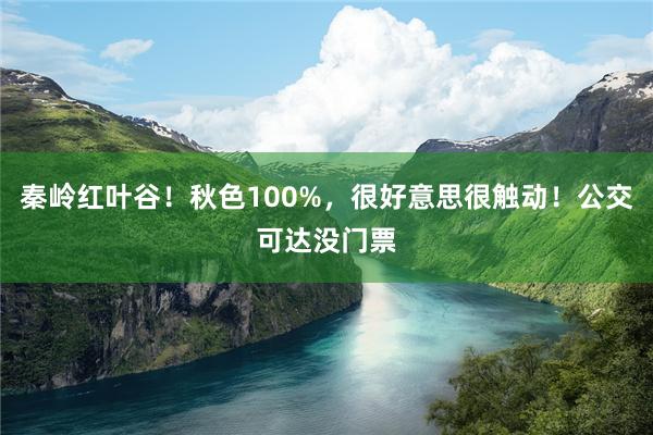 秦岭红叶谷！秋色100%，很好意思很触动！公交可达没门票