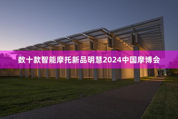 数十款智能摩托新品明慧2024中国摩博会